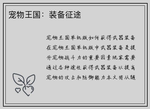宠物王国：装备征途
